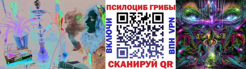 Псилоцибиновые грибы Psilocybe  даркнет сайт  Россошь 