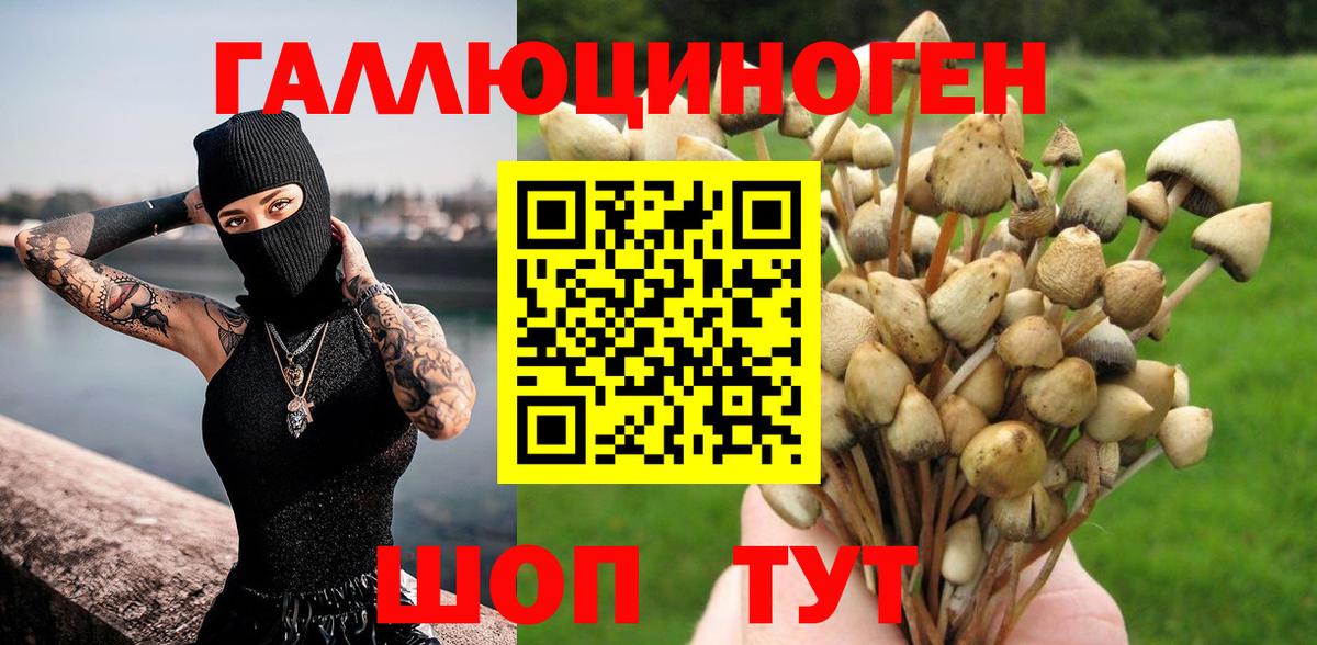 Псилоцибиновые грибы MAGIC MUSHROOMS Россошь
